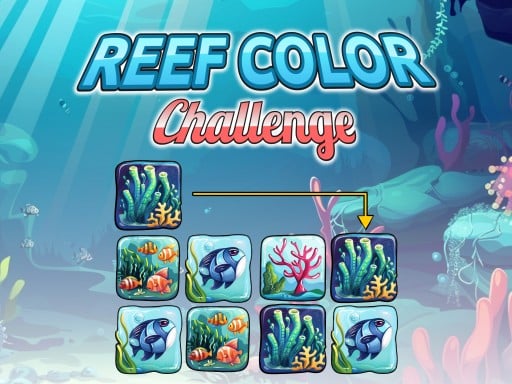 Reef Rush 2025